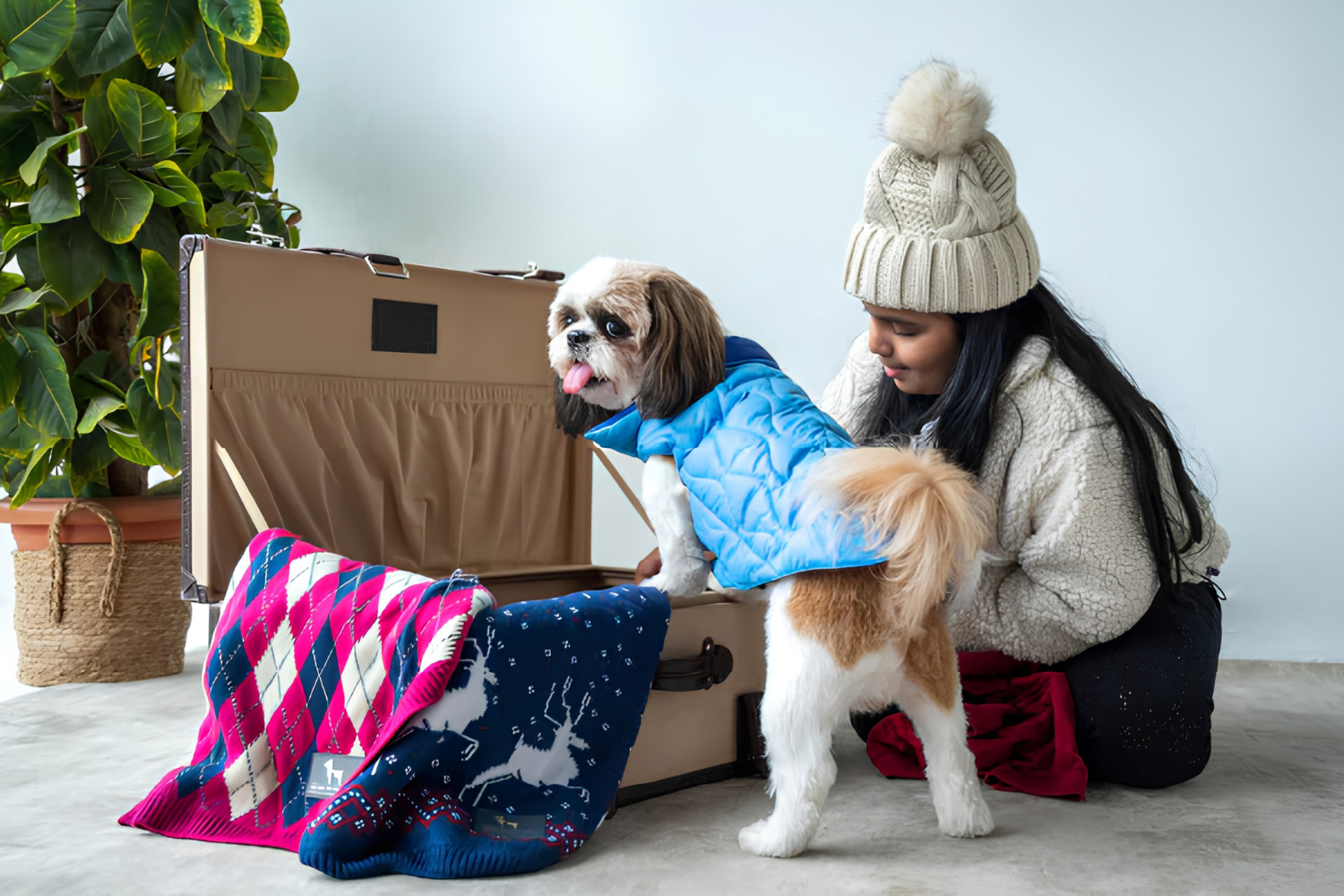 Choose Comfortable Clothes For Dogs