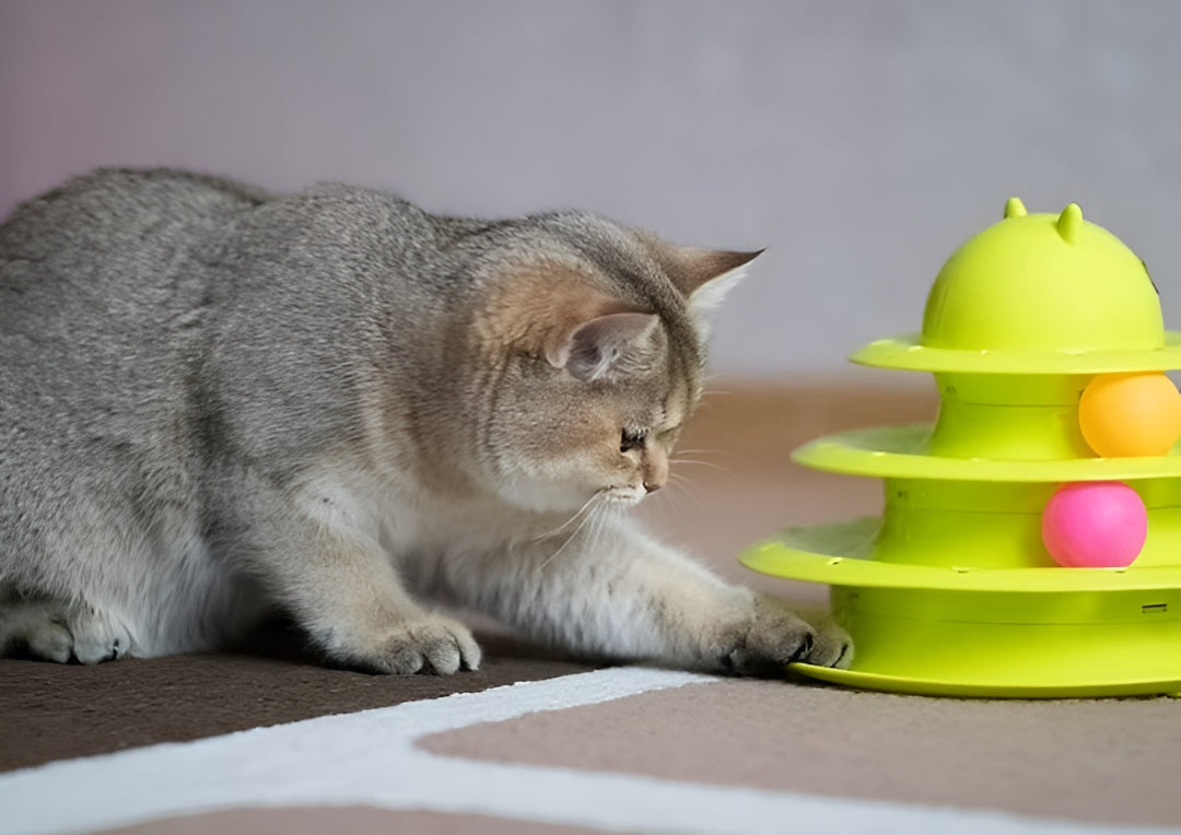 Best Cat Toys For Curious Playful Companions