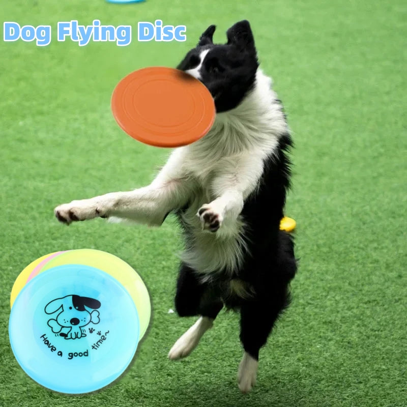 Frisbee Obsession: The Ultimate Playtime Buddy